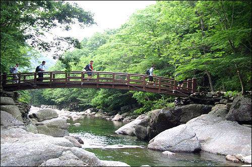 지리산 뱀사골의 시원하고 맑고 깨끗하고 깊음은 단연 최고입니다. 